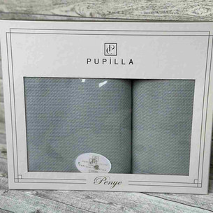 Подарочный набор полотенец для ванной 50х90, 70х140 Pupilla BERNINI хлопковая махра серый