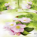 Постельное белье Tango cs959-1-70, фото, фотография