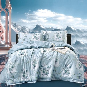 Постельное белье без пододеяльника с одеялом Madame Plumes ENCHANTED хлопковый сатин V14 евро