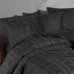 Постельное белье Clasy VEGA хлопковый сатин-жаккард V1 евро, фото, фотография