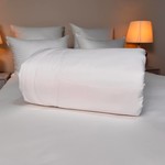 Одеяло Sofi De Marko HORECA №1 лебяжий пух/микрофибра белый 155х215, фото, фотография