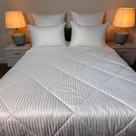 Одеяло Sofi De Marko HORECA №2 лебяжий пух/микрофибра 195х215, фото, фотография