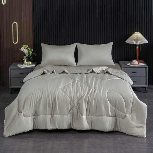 Постельное белье без пододеяльника с одеялом Sofi De Marko РАФАЭЛЬ тенсель V11М евро, фото, фотография