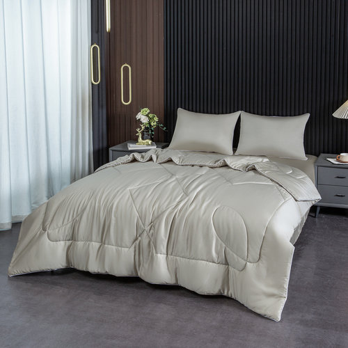 Постельное белье без пододеяльника с одеялом Sofi De Marko РАФАЭЛЬ тенсель V11М евро, фото, фотография