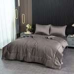 Постельное белье без пододеяльника с одеялом Sofi De Marko РАФАЭЛЬ тенсель V12У евро, фото, фотография