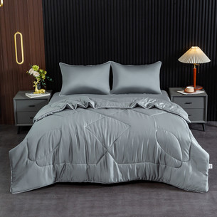 Постельное белье без пододеяльника с одеялом Sofi De Marko РАФАЭЛЬ тенсель V13У евро