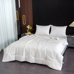 Постельное белье без пододеяльника с одеялом Sofi De Marko РАФАЭЛЬ тенсель V4У евро, фото, фотография