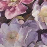 Постельное белье без пододеяльника с одеялом Sofi De Marko РЕНАТО хлопковый сатин V6 евро, фото, фотография