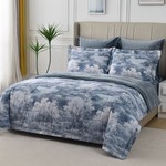 Постельное белье без пододеяльника с одеялом Sofi De Marko РЕНАТО хлопковый сатин V5 евро, фото, фотография