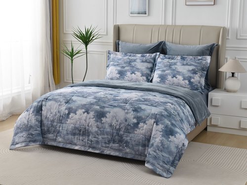 Постельное белье без пододеяльника с одеялом Sofi De Marko РЕНАТО хлопковый сатин V5 евро, фото, фотография