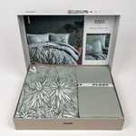 Постельное белье Clasy IRMA хлопковый ранфорс V1 евро, фото, фотография