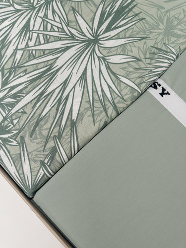 Постельное белье Clasy IRMA хлопковый ранфорс V1 евро, фото, фотография