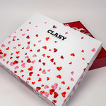 Постельное белье Clasy AMOR хлопковый ранфорс V1 евро, фото, фотография