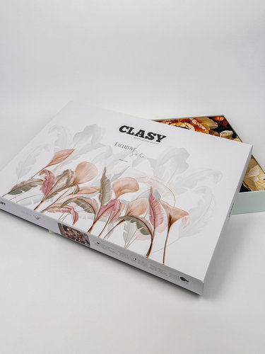 Постельное белье Clasy DIGITAL PANERA хлопковый сатин V1 евро, фото, фотография