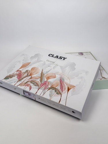 Постельное белье Clasy DIGITAL VESSAN хлопковый сатин V1 евро, фото, фотография