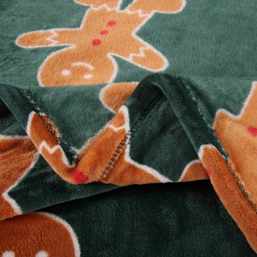 Плед-покрывало Sofi De Marko CHRISTMAS CAKE велсофт зелёный 150х200, фото, фотография