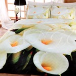 Постельное белье Virginia Secret vs087-34, фото, фотография