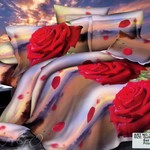 Постельное белье Tango Dream Fly df04-38, фото, фотография