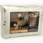 Одеяло Cleo Модерато 172 х 205 см классическое, фото, фотография