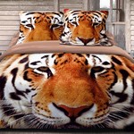 Постельное белье Cleo 3D-588-31, фото, фотография