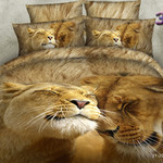 Постельное белье Cleo 3D-641-41, фото, фотография